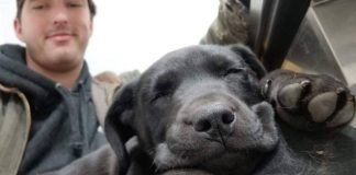 Conmovedor: es sordo y le enseñó lenguaje de señas a su perro