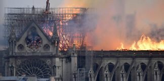 Elecciones, el Muro de Berlín o Vox, lo más buscado en Google en España; Greta Thunberg y Notre Dame, en el mundo