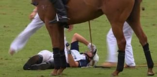 Final de polo en Palermo: una yegua cayo encima de un polista y quedó desmayado en el suelo