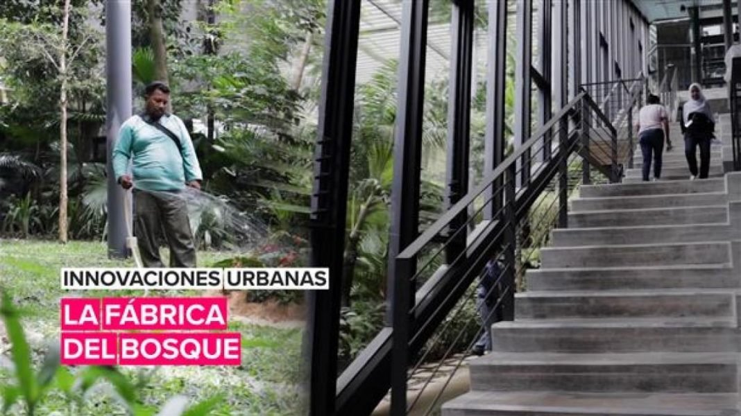 Innovaciones urbanas: La fábrica del bosque