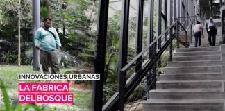 Innovaciones urbanas: La fábrica del bosque