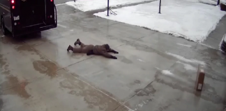 Video viral: se deslizó sobre la nieve para entregar un regalo