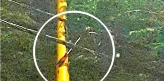 Sufrió una descarga eléctrica mientras intentaba realizar una conexión clandestina