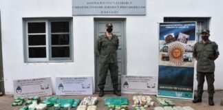 Detectaron millonario cargamento de hojas de coca en encomienda