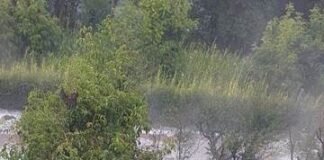Fuerte tormenta con granizo azotó El Rodeo