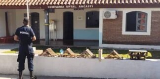 Secuestran aves canoras