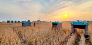 Esta granja vertical produce 1.000 toneladas de verduras al año en el espacio que ocupa un campo de fútbol