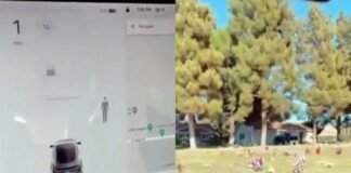 Video escalofriante: un auto eléctrico detectó a un supuesto fantasma en un cementerio vacío
