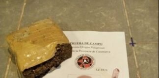 Los persiguen y secuestran casi medio kilo de marihuana