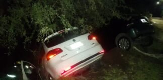 Conductor en estado de ebriedad, chocó a un auto estacionado