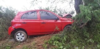 Automovilista chocó contra un árbol