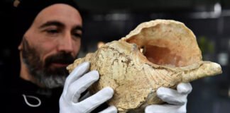 ¿Cómo suena el instrumento más antiguo del mundo?