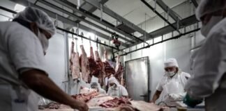Precio de la carne: hoy entra en vigencia la rebaja de hasta 30 por ciento en ocho cortes