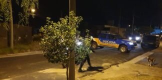 Intentaron linchar a un sexagenario que habría abusado de una nena de 10 años
