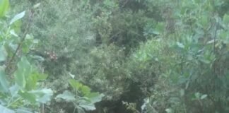 Desbarrancó un automóvil en Ambato