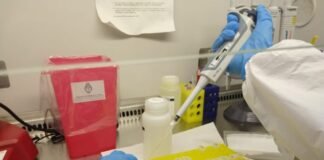 Coronavirus en Catamarca: ayer hubo 52 casos positivos y 78 pacientes recuperados