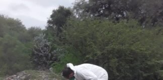 Detectan caso de rabia paresiante bovina