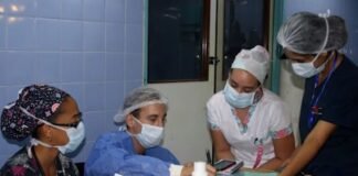 Gobierno extiende emergencia hasta fin de año, con reducción de vuelos y control de precios