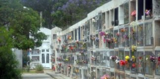 Le arrebataron el bolso con $7.000 a una mujer en el cementerio