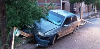 Perdió el control de su vehículo y se estrelló contra unos árboles
