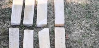 Secuestraron 20 kilos de marihuana en Las Salinas