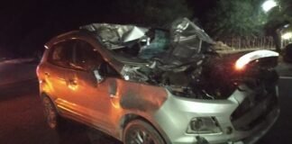 Accidente por un caballo en ruta 1