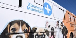 Capital ya cuenta con un quirófano móvil gratuito para mascotas