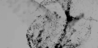 Científicos descubren la manera de recolectar ADN humano en el aire