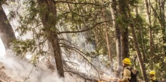 Exitosa labor de los brigadistas en la Patagonia