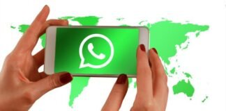 Lo último de WhatsApp: permitirán personalizar los colores de su app