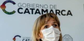 Palladino brindó detalles del Plan de Vacunación COVID-19 para los próximos meses