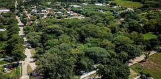 Empezó la reconversión del ex Zoo de FME