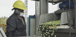 Créditos para la reconversión varietal