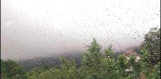 ¿Cómo estará el tiempo hoy?