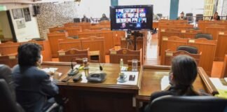El Senado aprobó el proyecto que autoriza la compra de vacunas contra el Covid-19
