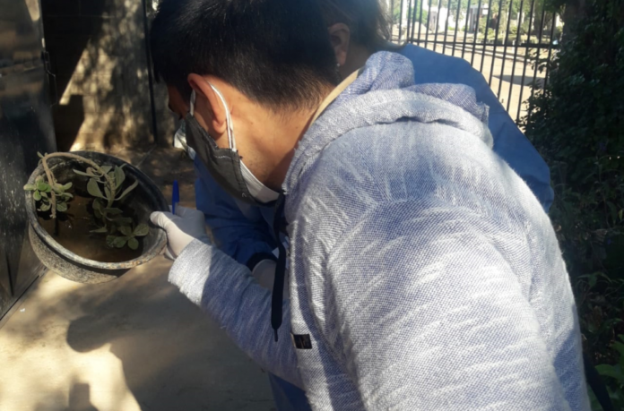 Se detectó el primer caso de Dengue en la provincia