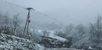 El consumo de energía aumentó un 20% promedio y generó cortes