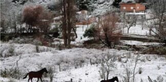 Ola polar provocó intensas nevadas en el interior