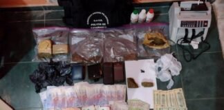 El can antinarcóticos “Dana” detectó cargamento narco en Tinogasta