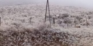 Frío polar y nevadas en los cerros, en uno de los días más fríos del año