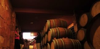 Vinos y Volcanes de Catamarca se presentaron en Chile