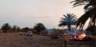 Bomberos trabajaron para sofocar una quema de desmonte