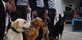 Canes catamarqueños colaborarán en la búsqueda de Guadalupe Lucero