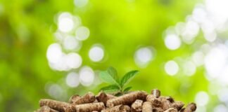 Nación inyecta otros $250 mil a un proyecto innovador en Catamarca