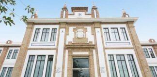 Sabrán a qué obras miras: los museos incorporan sistemas de análisis de miradas para identificar los cuadros más populares