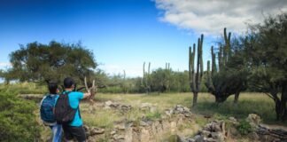 Turismo Capital lanza excursiones por SFVC y el Valle Central