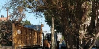 Camión de la comuna capitalina cortó cables y dejó sin luz a la zona Norte