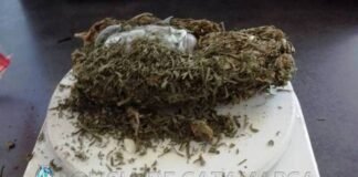 Circulaban en un automóvil con cogollos de marihuana