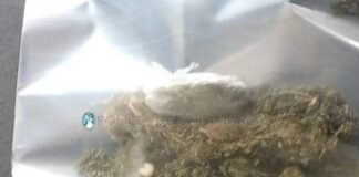 En un control vehícular encontraron marihuana