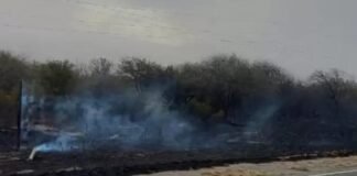 Calor, zonda e incendios provocan inconvenientes en el servicio eléctrico